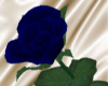 Valentine Deep Blue Rose