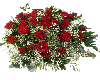 (MSD) Roses Sticker