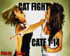 !Rs Cat Fight
