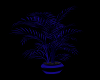 (C) blue plant