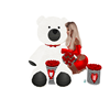 Valentine Bear +Pose