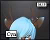 [Cyn] Zai Antlers
