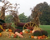 Fall Hay Stack