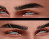 Lines brows