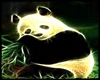 Furry Rave Panda