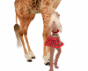 Giraffe 2