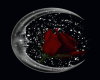 moon and rose