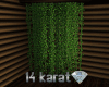 14k Liana Plant G