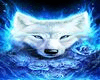 Wolf Rose Cutout