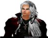 SV Divine Hair
