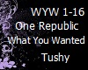 OneRepublic WhatYouWantd