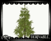 Pine Tree [derivable]