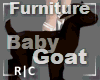 R|C Baby Goat Brown Furn