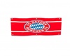 Bayern M Wall Flag