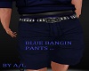 A/L  BLUE  BANGING PANTS