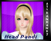[Arz]Head Panditha