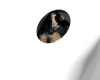 @LXE fan V2