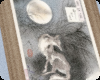 ❀˖°Fox and the Moon