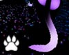 Lavender Black Cat Tail