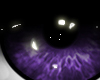 Purple Eyes / Magenta