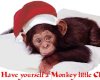 monkey christmas