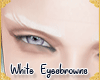 !A| White Eyesbrows