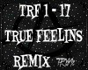 Tl True Feelings RMX