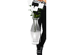 ~B~White Roses w/Vase