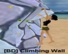 [BD] Wall Climbing