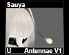 Sauya Antennae V1