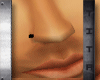 t| Nose Stub Derivable M