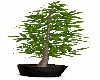 Potted Tree v4