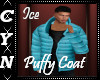Ice Puffy Coat