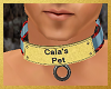 Cala's collar (male)
