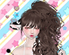 ❀焦茶 Wynne
