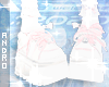 𝑨┃Coquette WT ✮