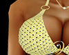 Summer Crochet Bikini Yw