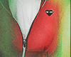 Red Hoodie