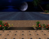 RomanticBeach NightHome