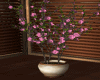 BaN- Sakura tree