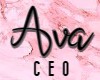 Ava CEO