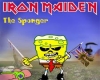 iron maiden the sponge