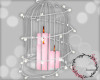 Candles Cage Bird