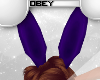 | Playboy Vanity Ears