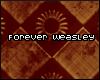 P; Forever Weasley