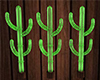 Kinz Country Cactus
