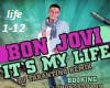 It's My Life Remix Music