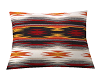 South Western Pillow