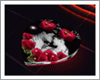RS *I love you* bed 6p