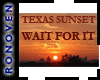 [RO] Texas Sunset Anim.